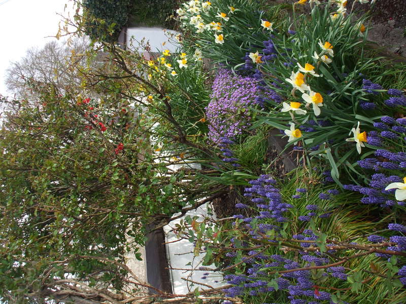 Hotel Mena House Kilkenny Exterior foto